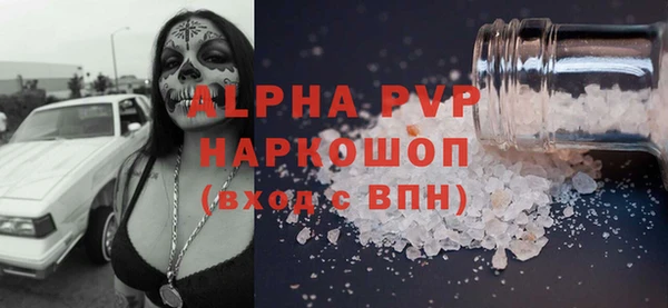 прущие грибы Алзамай