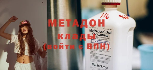прущие грибы Алзамай