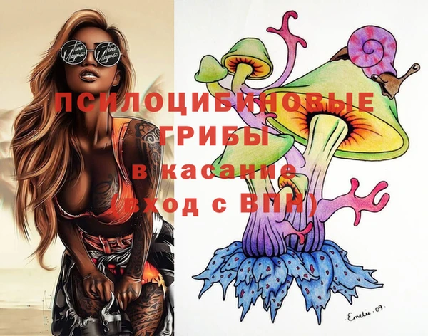 прущие грибы Алзамай
