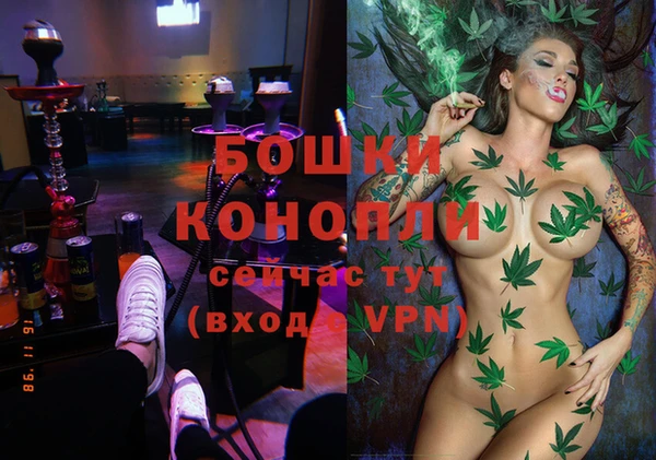 дурь Пересвет