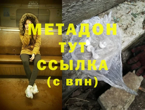 прущие грибы Алзамай